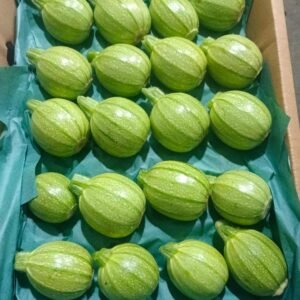 Round Squash